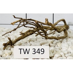 Talawawood 349