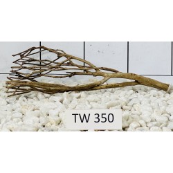 Talawawood 350