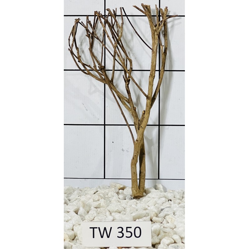 Talawawood 350