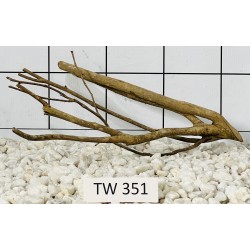 Talawawood 351