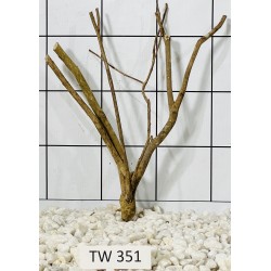 Talawawood 351