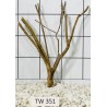 Talawawood 351