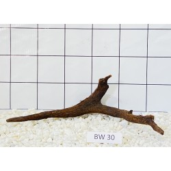 Bogwood 30