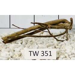 Talawawood 351
