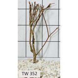 Talawawood 352