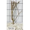 Talawawood 352