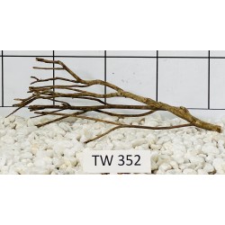 Talawawood 352