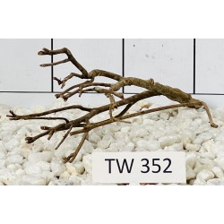 Talawawood 352