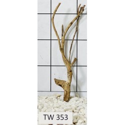 Talawawood 353