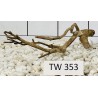 Talawawood 353