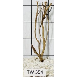 Talawawood 354