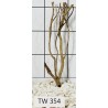 Talawawood 354