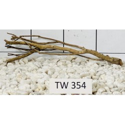 Talawawood 354