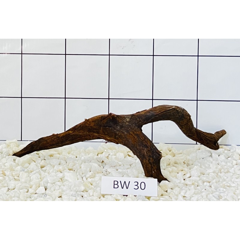 Bogwood 30