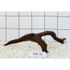 Bogwood 30