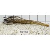 Talawawood 356