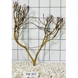 Talawawood 357