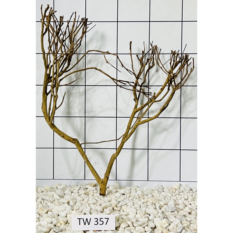 Talawawood 357