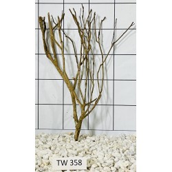 Talawawood 358