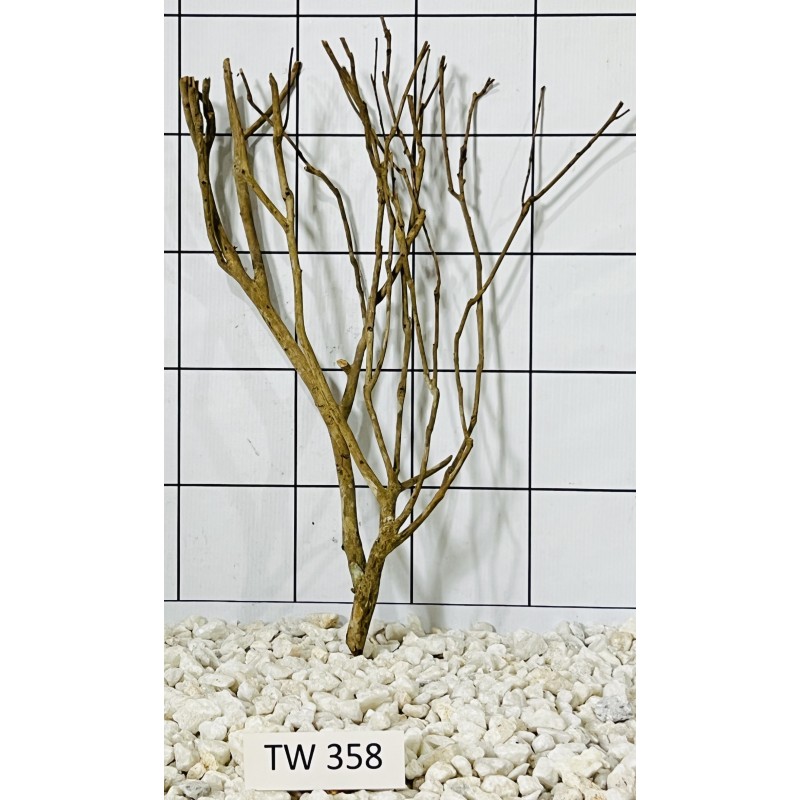 Talawawood 358