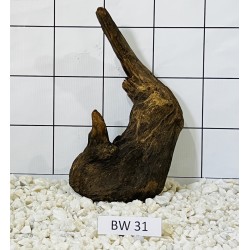 Bogwood 31