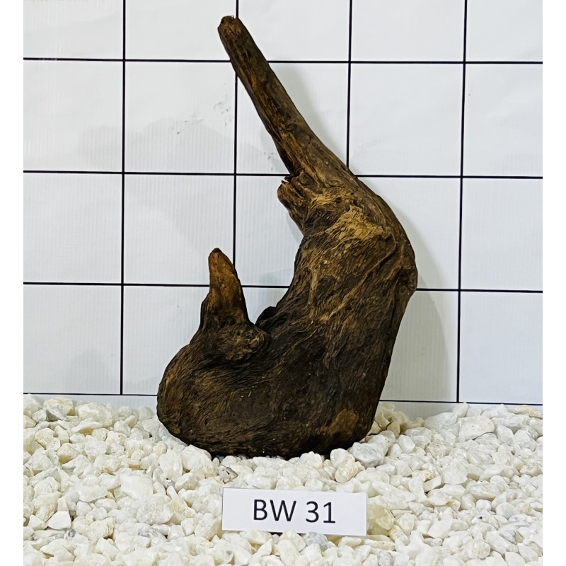 Bogwood 31