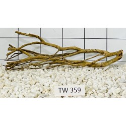 Talawawood 359
