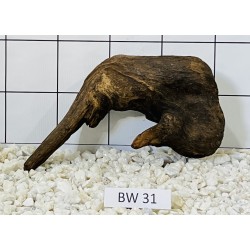 Bogwood 31