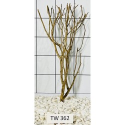 Talawawood 362