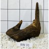 Bogwood 31