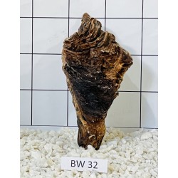 Bogwood 32