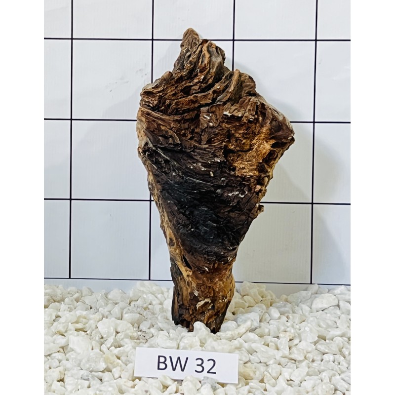 Bogwood 32