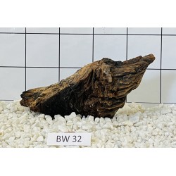Bogwood 32