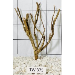 Talawawood 375
