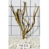 Talawawood 375