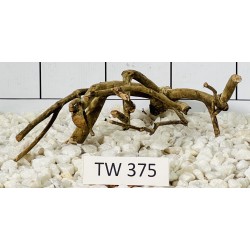 Talawawood 375