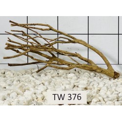 Talawawood 376