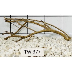 Talawawood 377