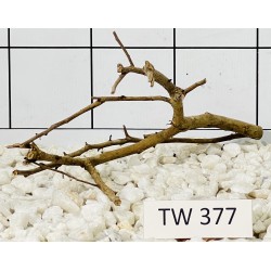 Talawawood 377