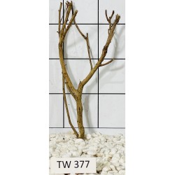 Talawawood 377