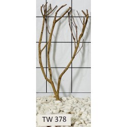 Talawawood 378