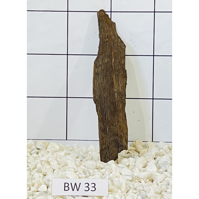 Bogwood 33