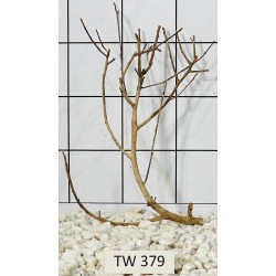 Talawawood 379