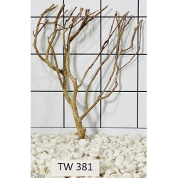 Talawawood 381