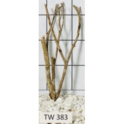 Talawawood 383