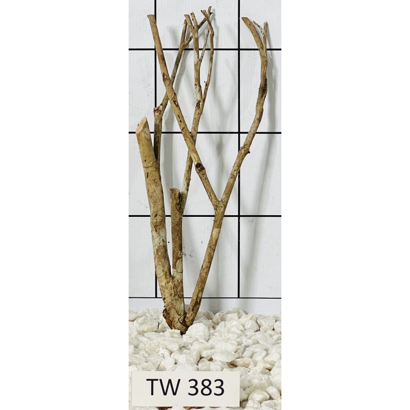 Talawawood 383