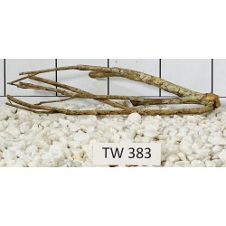 Talawawood 383