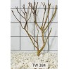 Talawawood 384