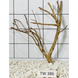 Talawawood 386