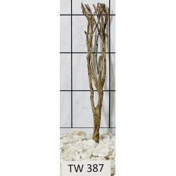 Talawawood 387